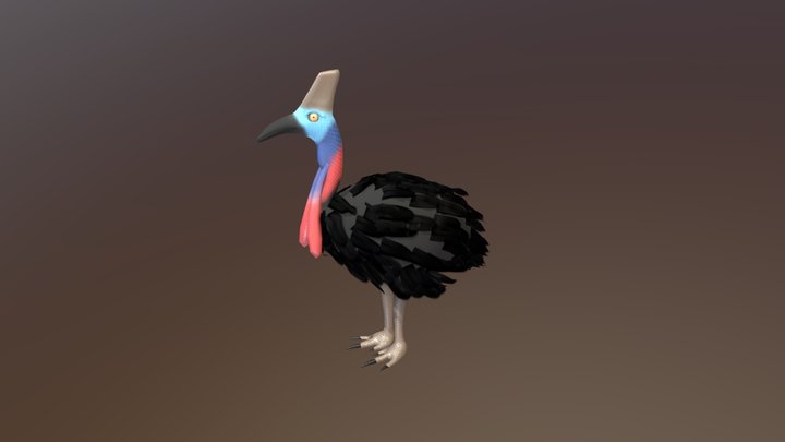 Cassowary 3D Model