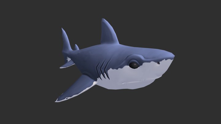 Shark 3D Model