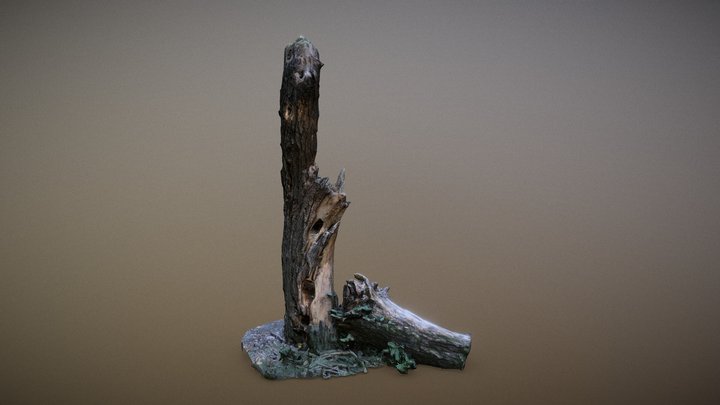 TREE TRUNK LOWPOLY 3D Model