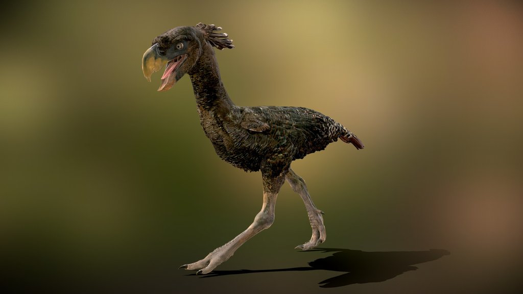 Terror Bird NHMW - Optimized OBJ