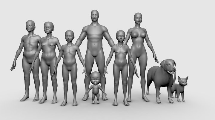 Family BaseMesh - Topology + UV map 3D Model