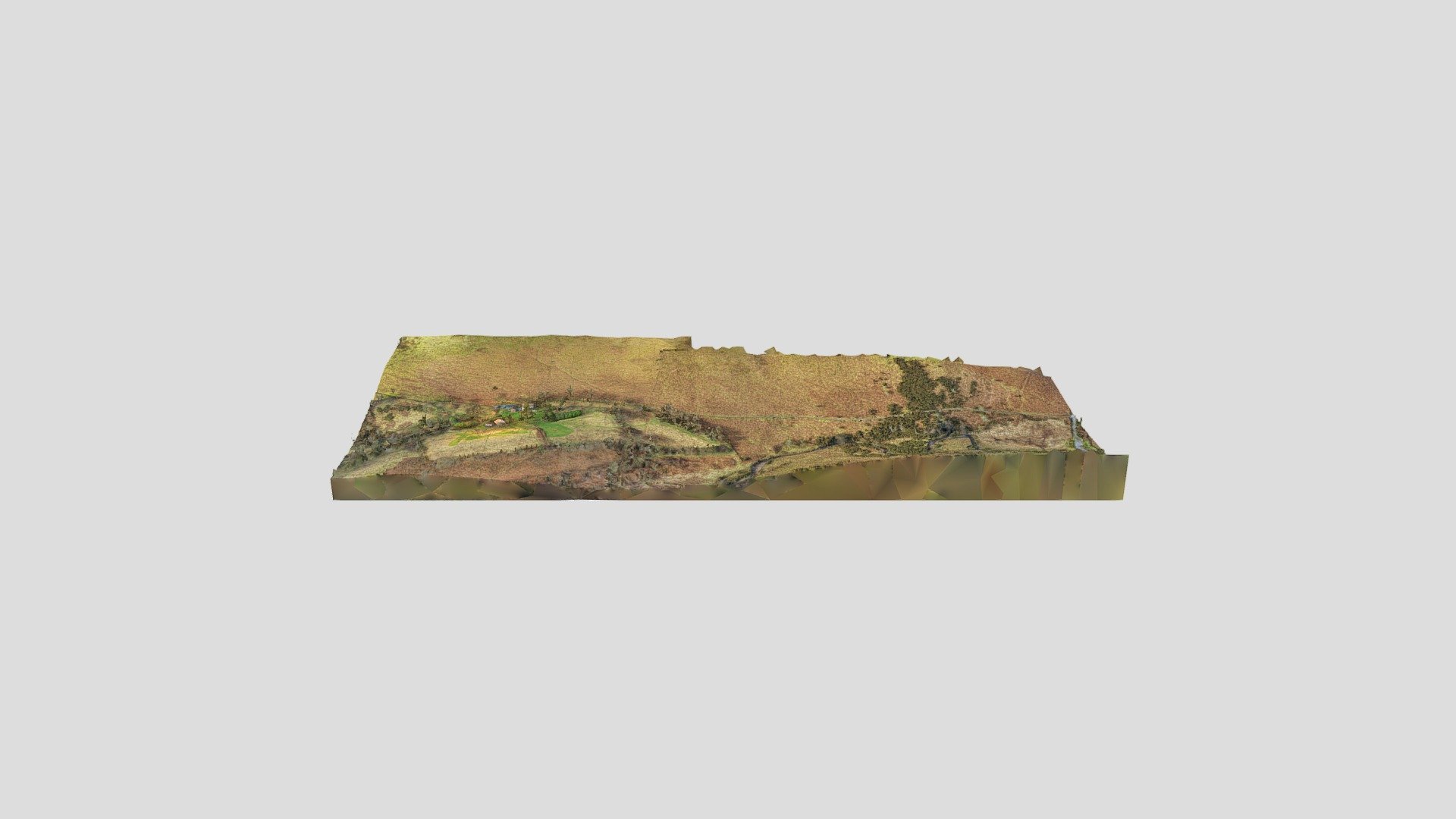 Farm