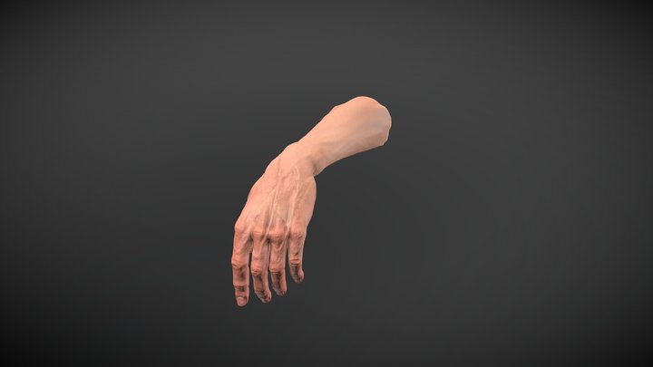 Free Realistic Hand 3D Model