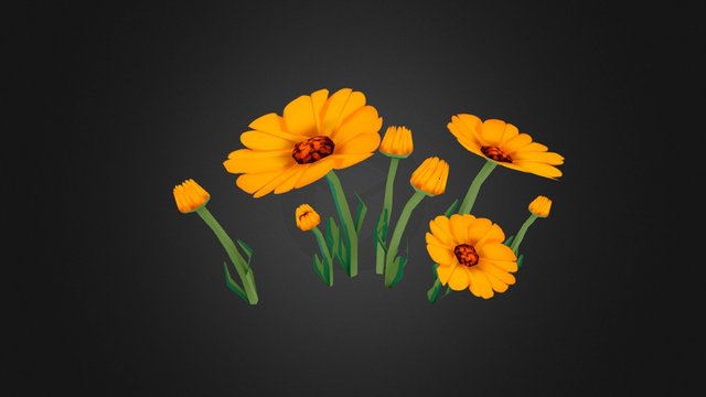 Marigolds 3D Model