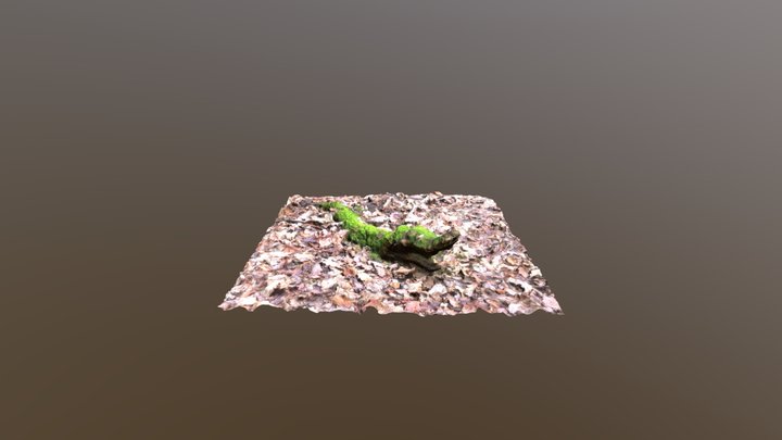 Mossy fallen tree branch 3D Model
