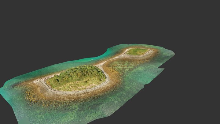 Dunnyneill Island, Strangford Lough 3D Model