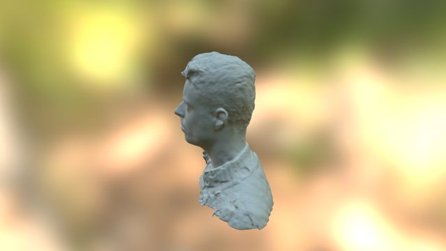 Head scan 3D Model