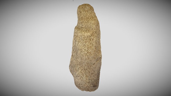 53_21 3D Model