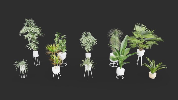 Plant In pot asset pack 3D Model
