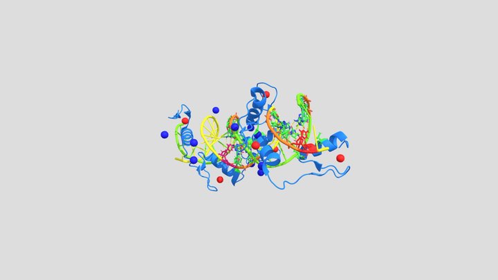 Multidomain CTCF bindingfactor in complex to DNA 3D Model