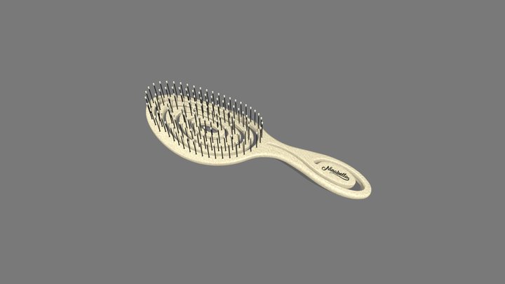 Bürste 3D Model
