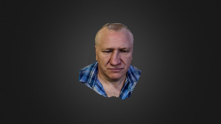 picasso 3D Model