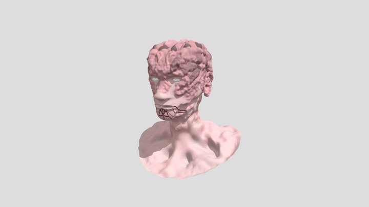 3D_Highpoly-sculpt-head_Meeus-Willem-Jan 3D Model