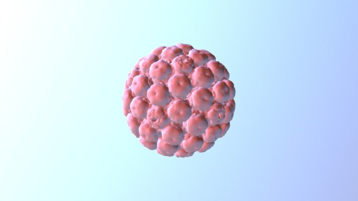 Simian Virus 3D Model