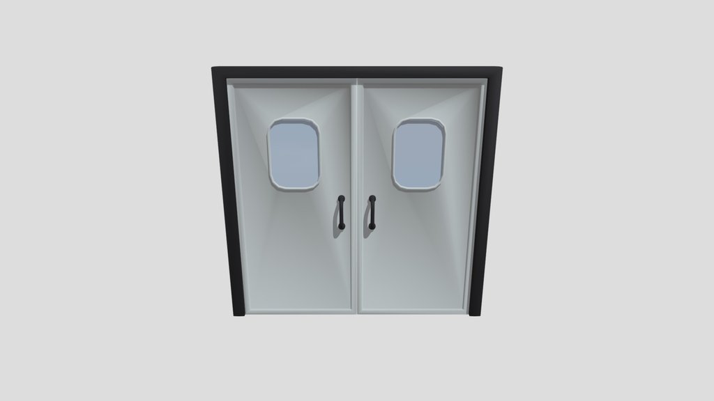Hospital Door