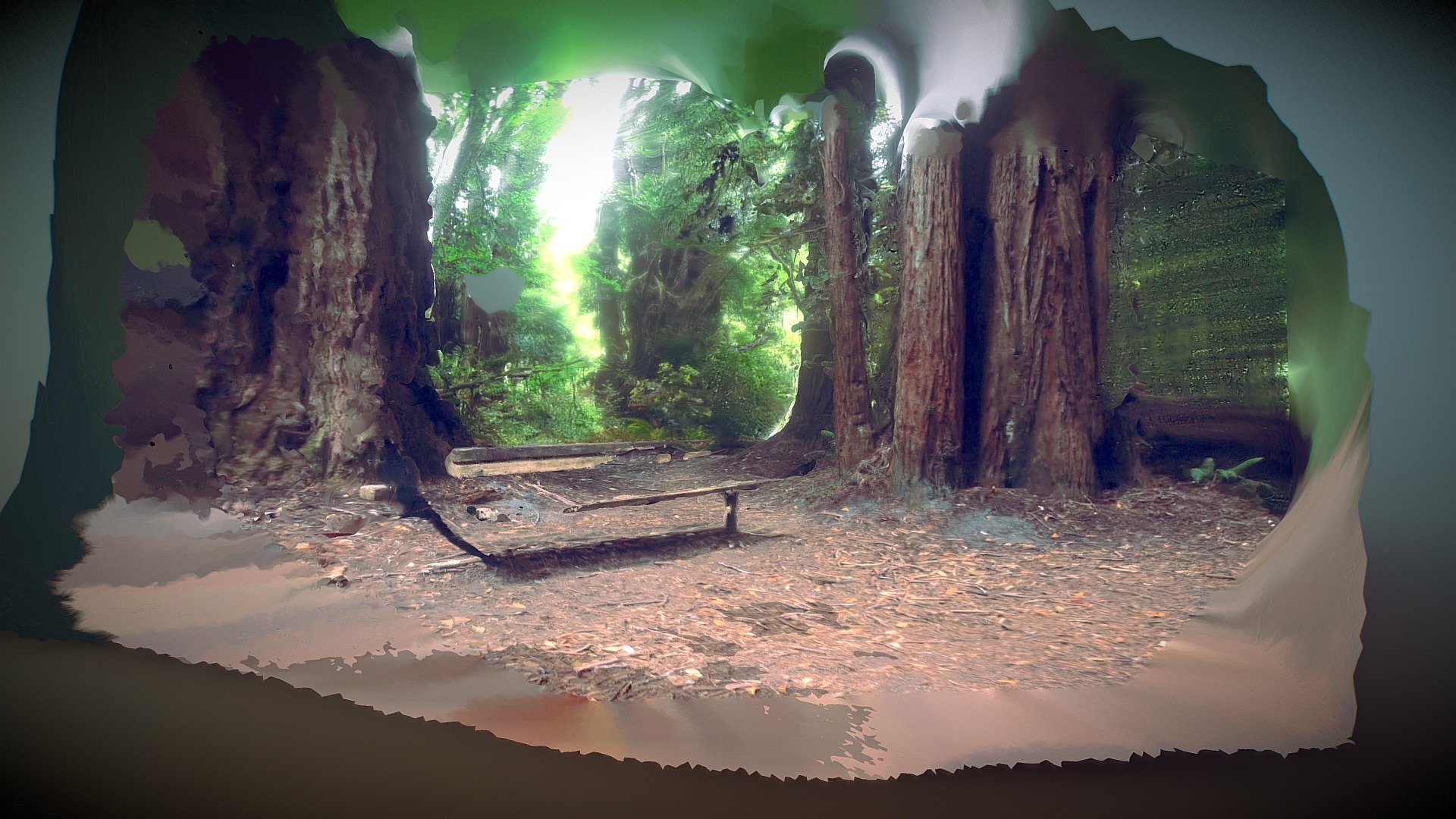 FOREST WAY