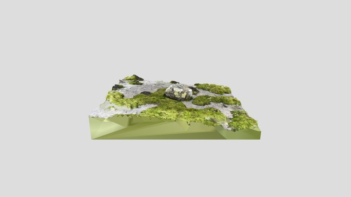 Archipelago moss covered rock 3D Model