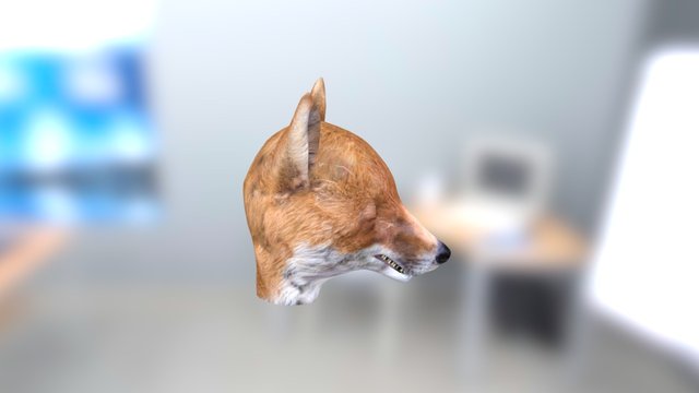 Fox 3D Model