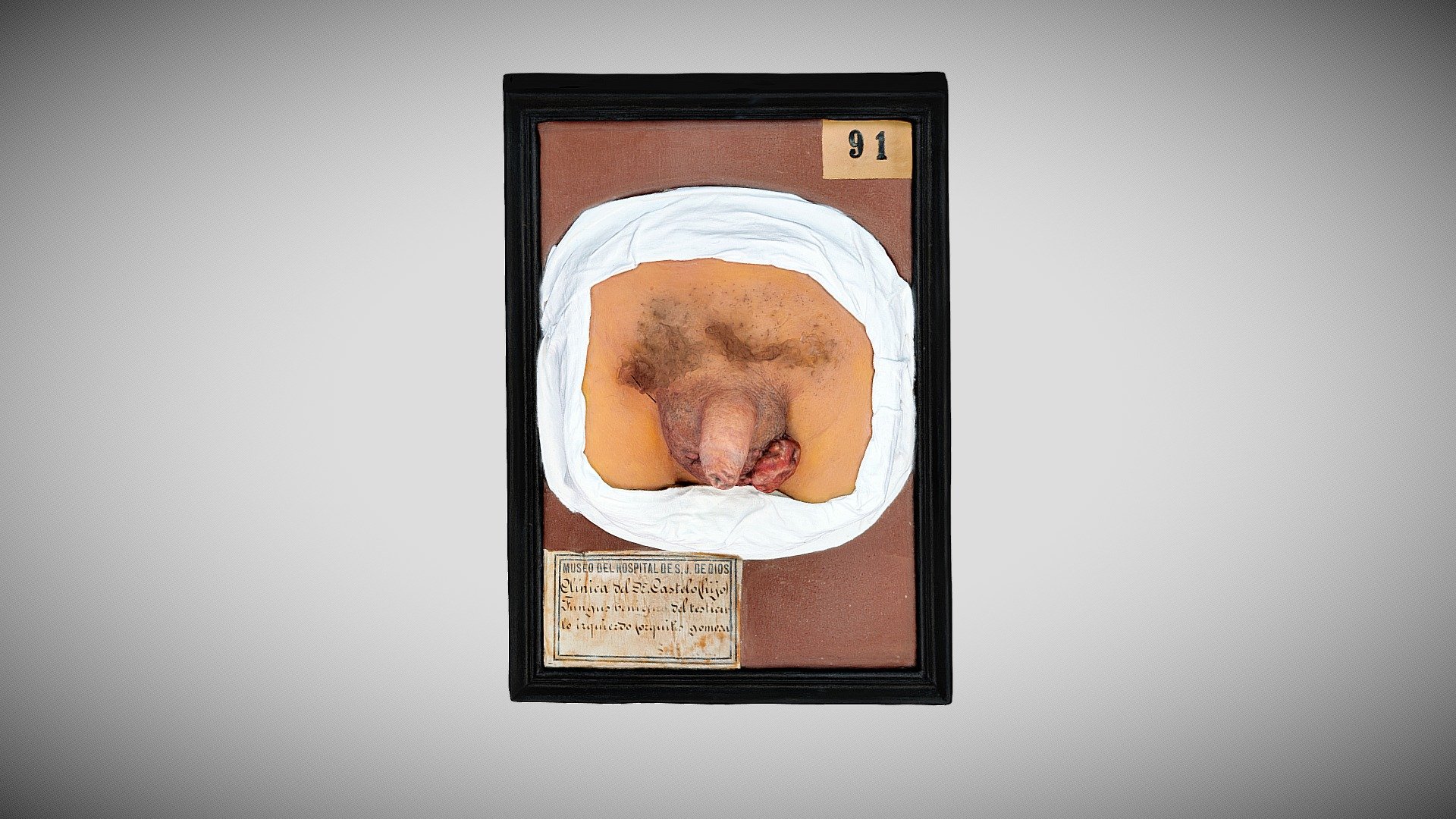 315 - 126 — Sketchfab embed 3D viewer