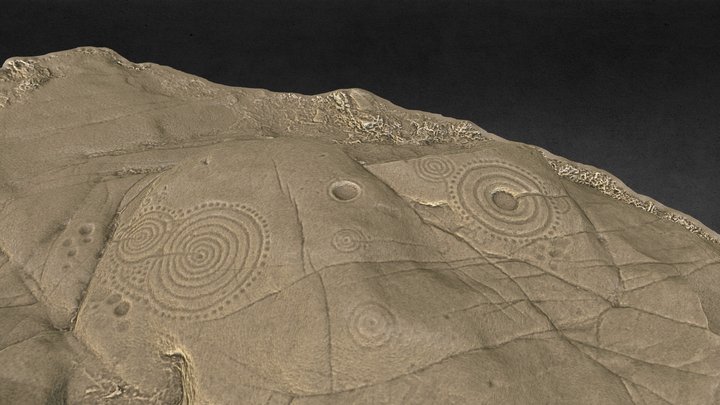 Petroglifo / Rock art _ Laxe das Rodas 3D Model