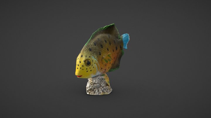 Fish Statue 3D Model