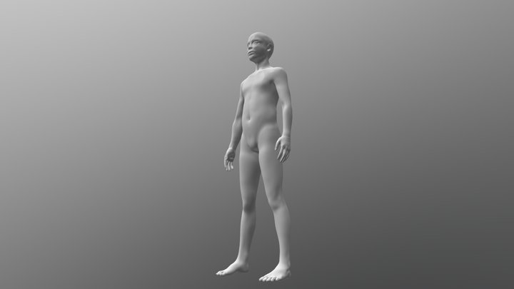 Body01 3D Model