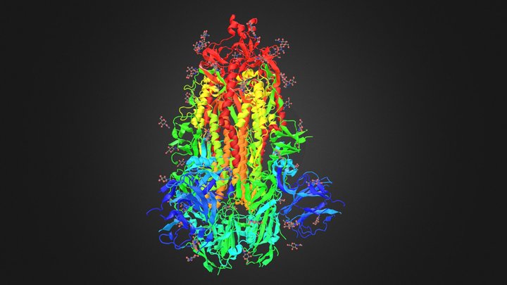 SARS-CoV-2 spike glycoprotein 3D Model
