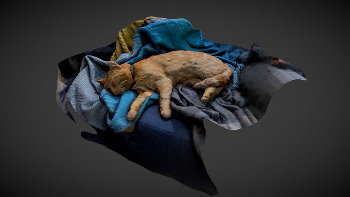 Sleeping Cat 3D Model