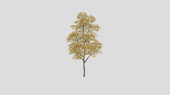 Test-01 3D Model