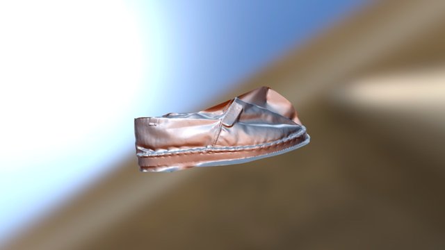 havaiana 3D Model