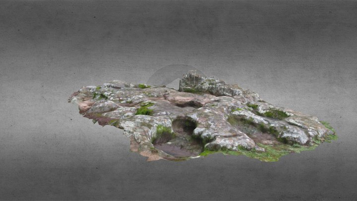 piedras tacitas 16-08 3D Model