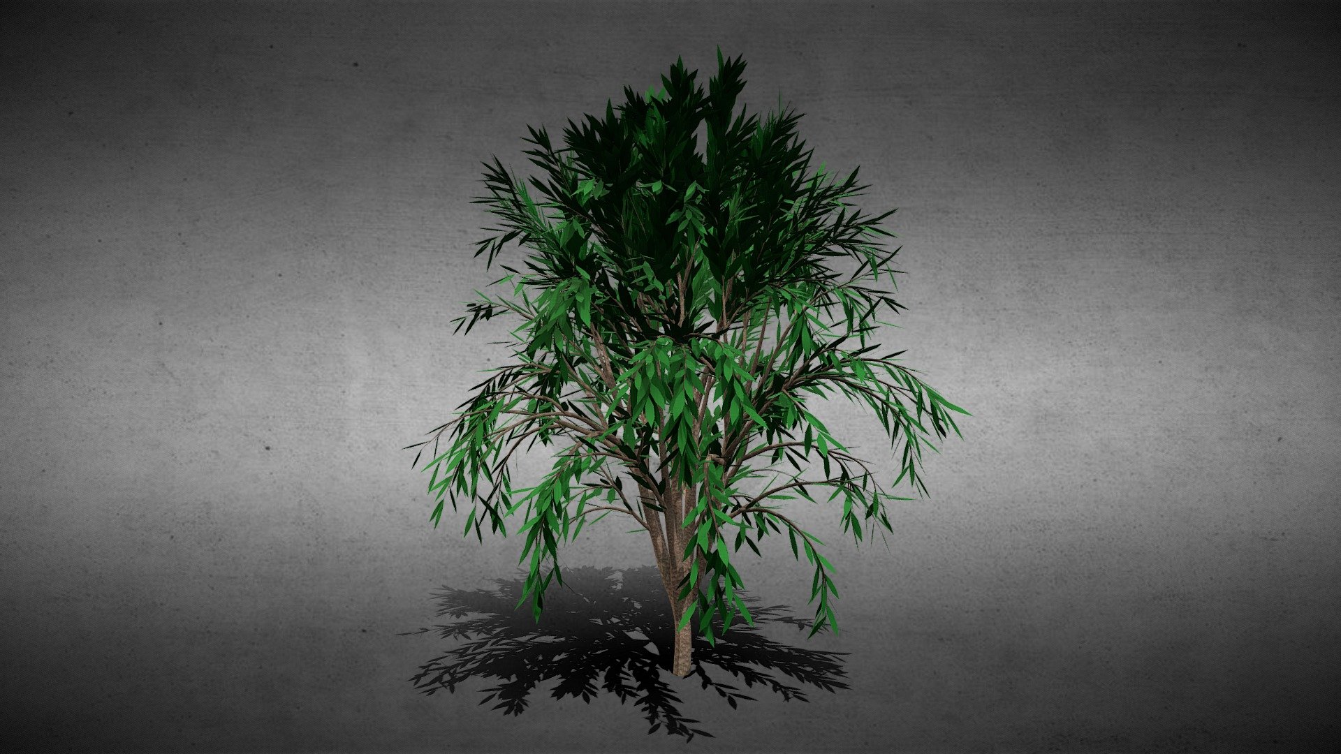 Tree — Sketchfab embed 3D viewer
