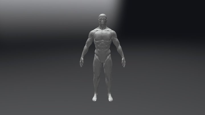 Full Body Sculpt 3D Model