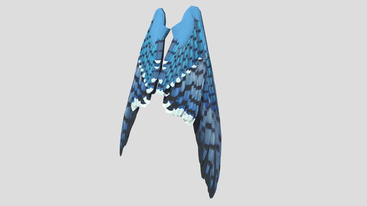 Bluejay Wings 3D Model