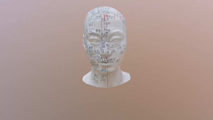 Head acupuncture model 3D Model