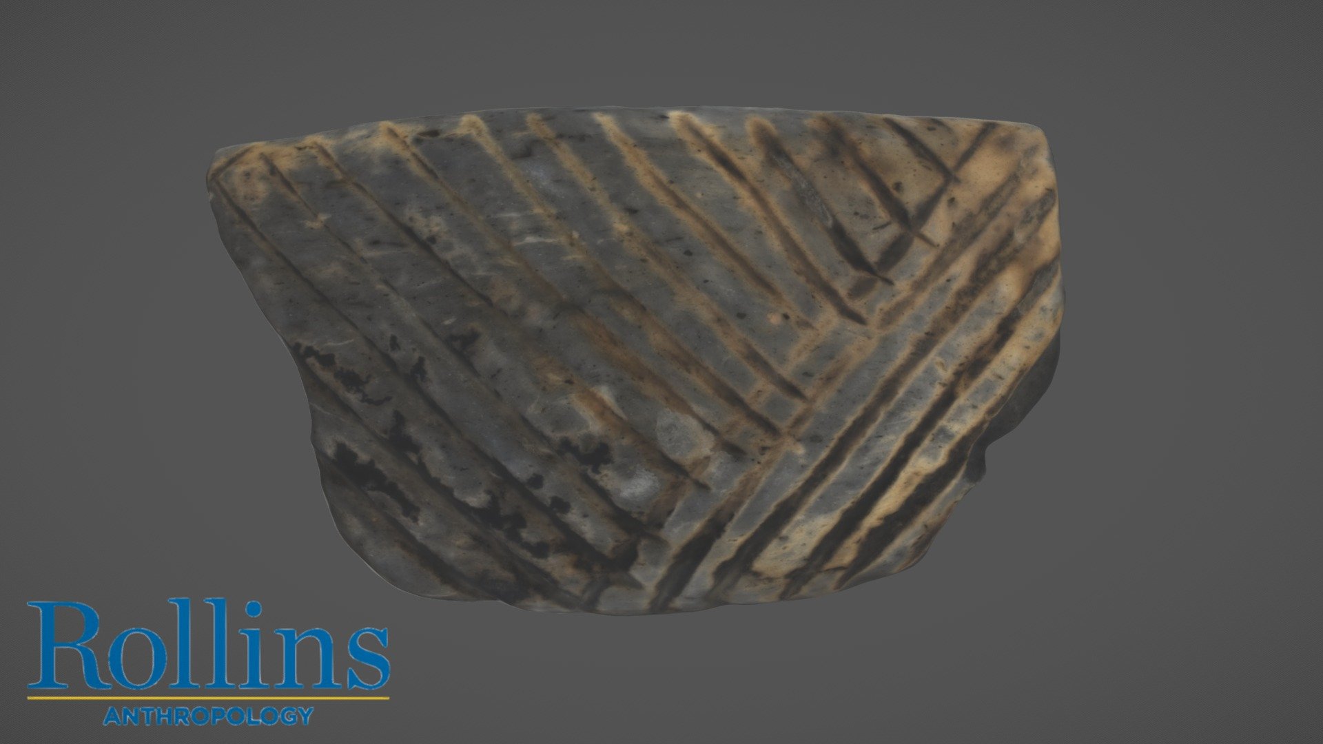 St. Johns Incised Pottery, Orange County, FL Download Free 3D model