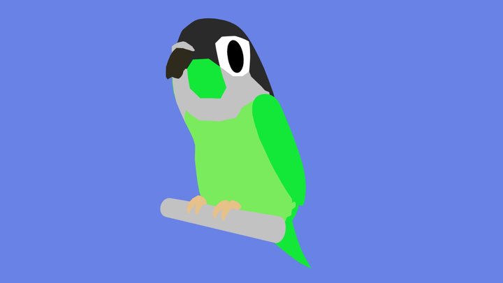 Conure 3D Model