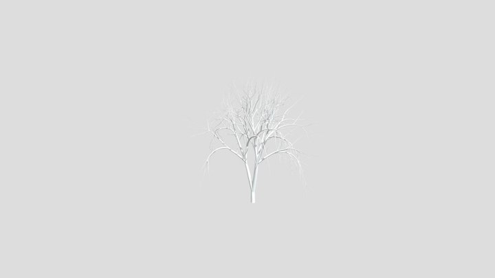 Tree 3D Model