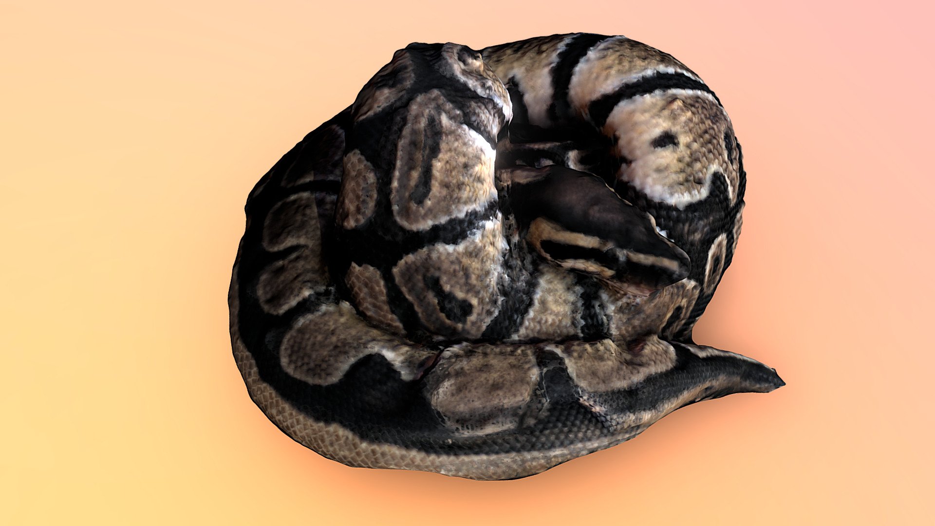 Snaker