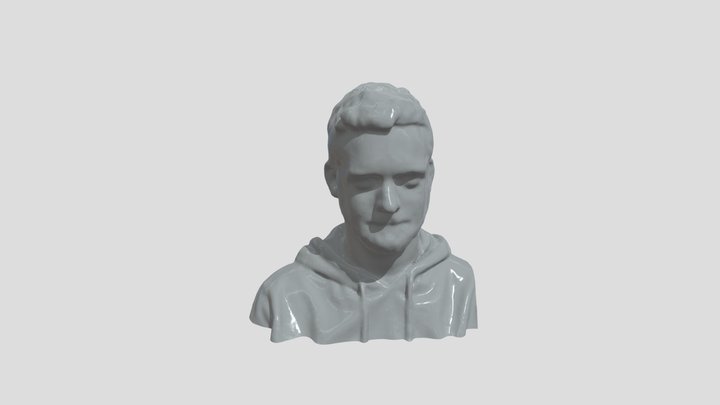 Dean Bust 01 In Grey 3D Model
