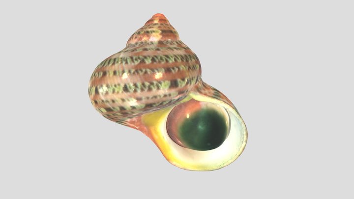 リュウテン / Tapestry turban 3D Model