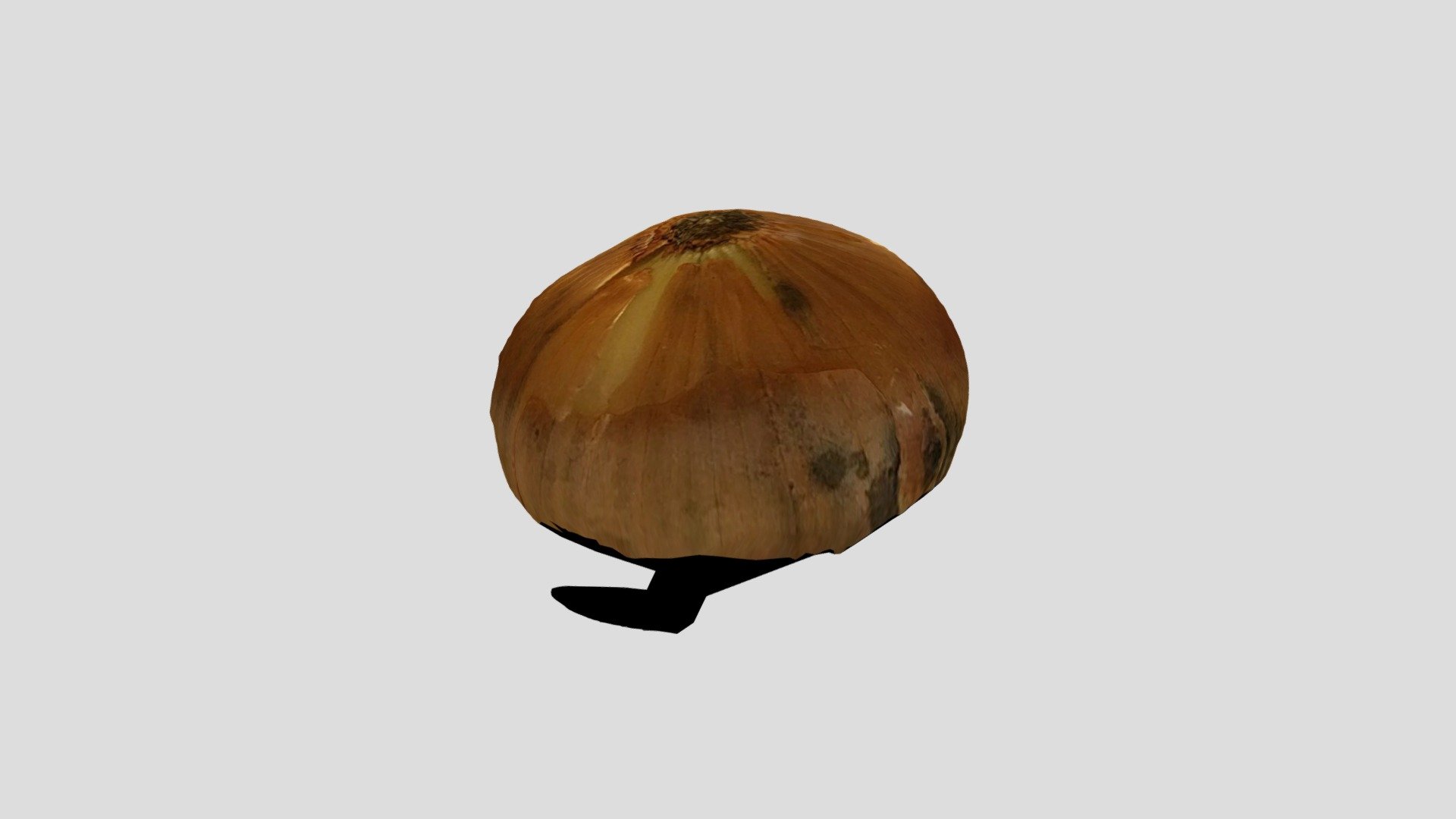 Zwiebel1