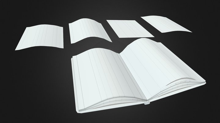 Open Book Paper Pieces untextured 3D Model