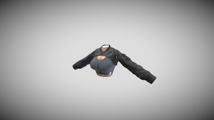 Cropped 3D Model