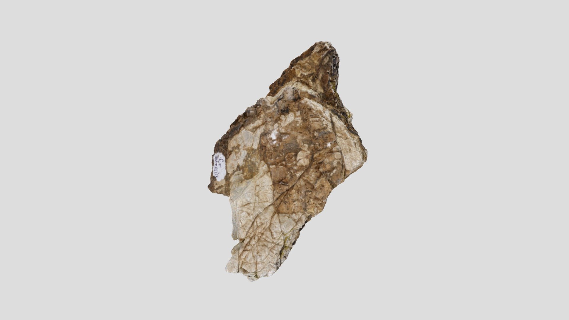 Ꞓr breccia