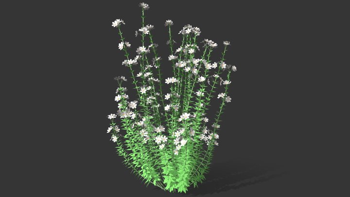 Realistic Forest Flowers 3D Model