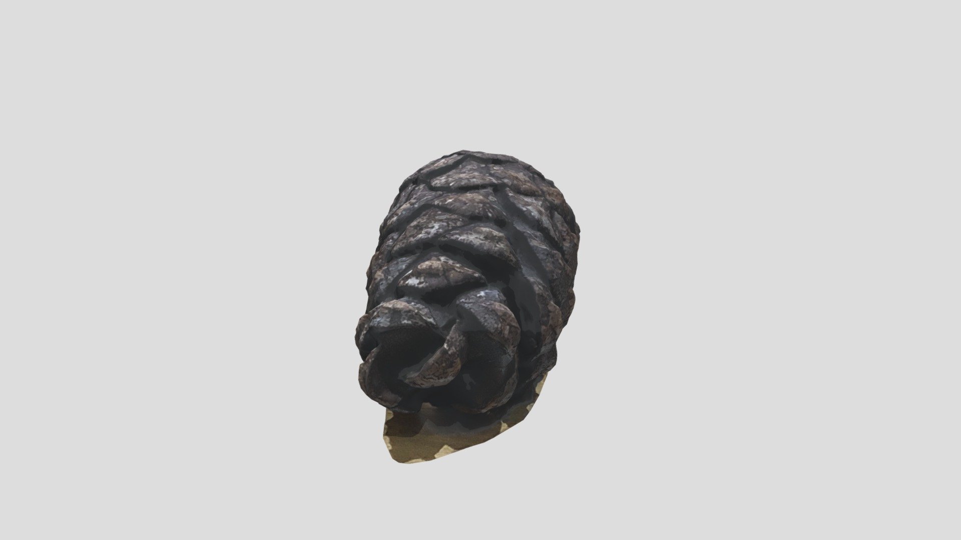Pinecone