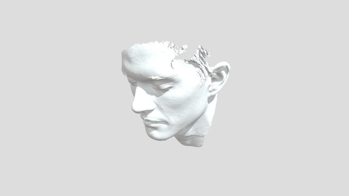 Original Retopo Face 3D Model