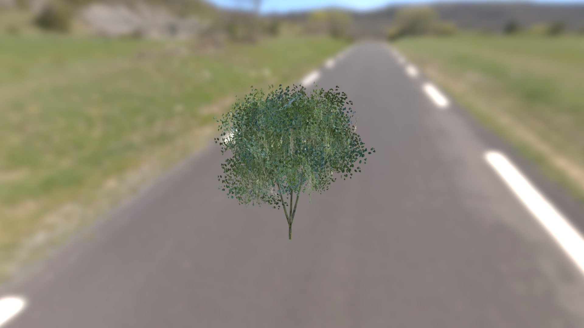 Tree Low Poly