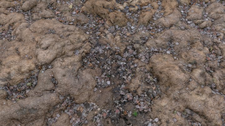 Composted cut grass 3D Model